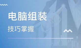 鄭州電腦維修與網站設計培訓 開啟數字技術職業新篇章